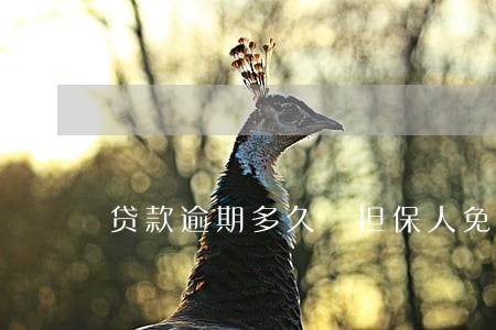 贷款逾期多久 担保人免责 贷款逾期多久 担保人免责